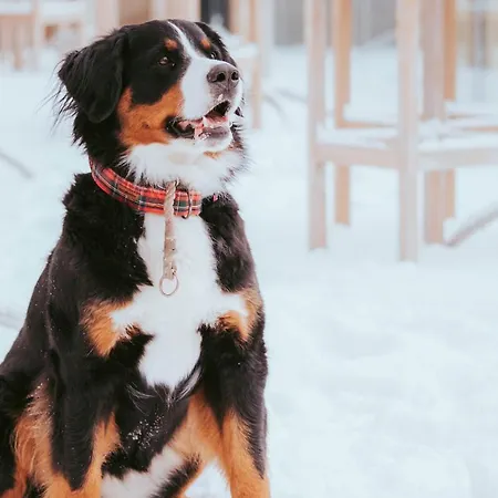 Hotel Peter Saint Wolfgang