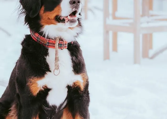 Hotel Peter Sankt Wolfgang im Salzkammergut